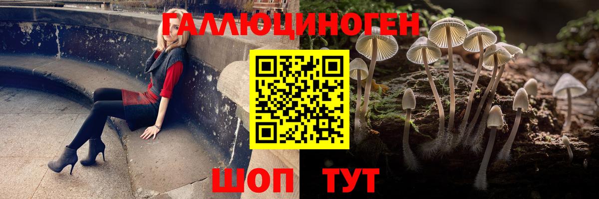 Галлюциногенные грибы мицелий Нижнеудинск