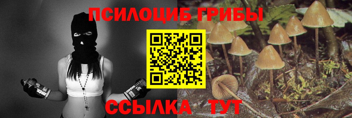 Нижнеудинск  Галлюциногенные грибы мухоморы  Вход с VPN 